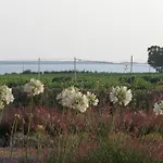 Borgo Della Luna 公寓
