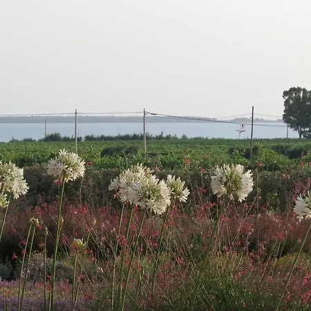 Borgo Della Luna Apartament