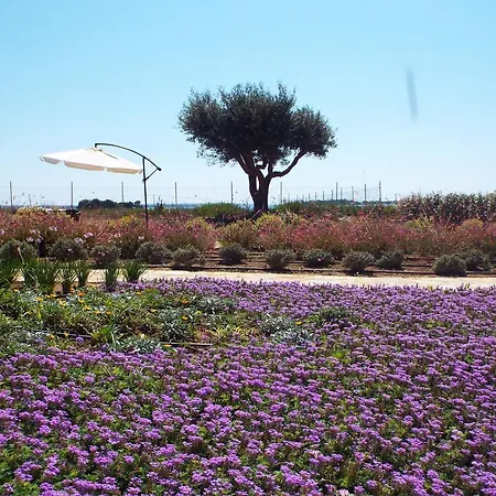 Borgo Della Luna Birgi Vecchi